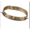 Ошейник Sitabella, с шипами, иск. кожа, цвет золотой, арт.5034-8