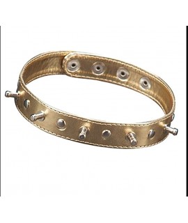Ошейник Sitabella, с шипами, иск. кожа, цвет золотой, арт.5034-8