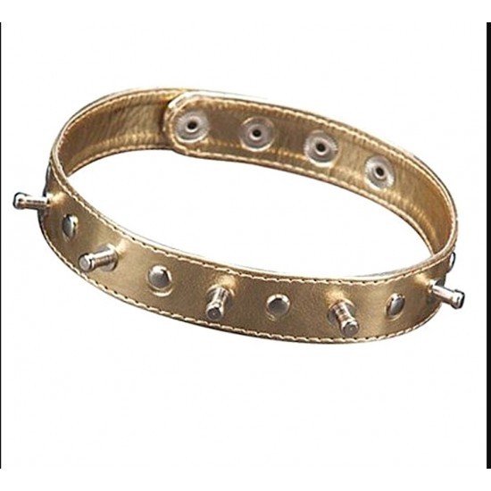 Ошейник Sitabella, с шипами, иск. кожа, цвет золотой, арт.5034-8