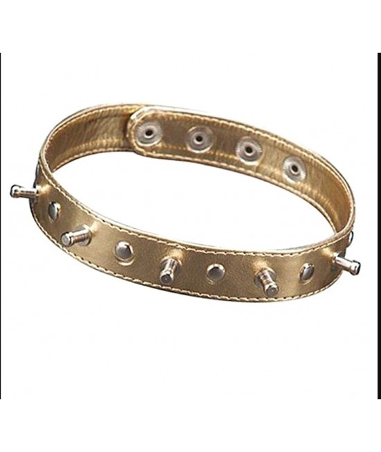 Ошейник Sitabella, с шипами, иск. кожа, цвет золотой, арт.5034-8