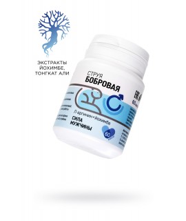 КОНЦЕНТРАТ ПИЩЕВОЙ «НАТУРВЕДЪ № 31» «СИЛА МУЖЧИНЫ», 60 ШТ., арт 05